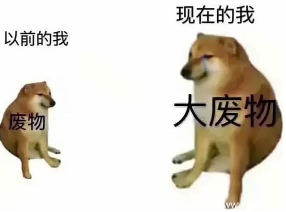 肌肉柴犬和小废柴生动对比搞笑表情图