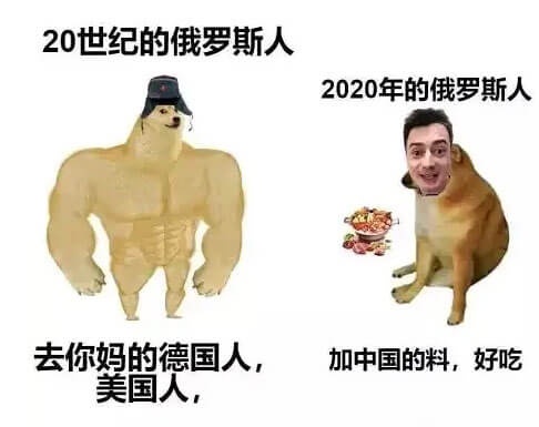 肌肉柴犬和小废柴生动对比搞笑表情图