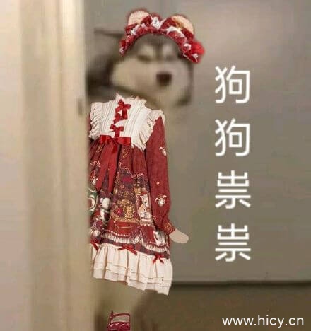 狗狗祟祟，各种狗狗鬼鬼祟祟系列表情包