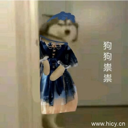 狗狗祟祟，各种狗狗鬼鬼祟祟系列表情包