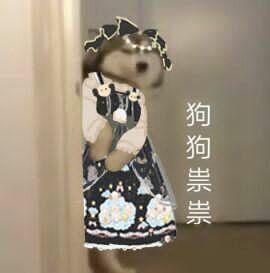 狗狗祟祟，各种狗狗鬼鬼祟祟系列表情包