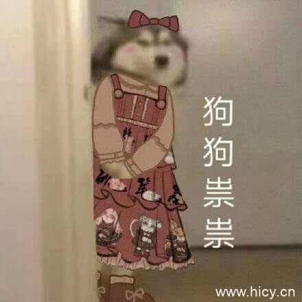 狗狗祟祟，各种狗狗鬼鬼祟祟系列表情包