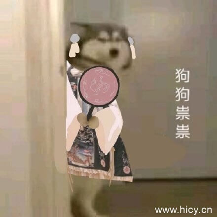 狗狗祟祟，各种狗狗鬼鬼祟祟系列表情包