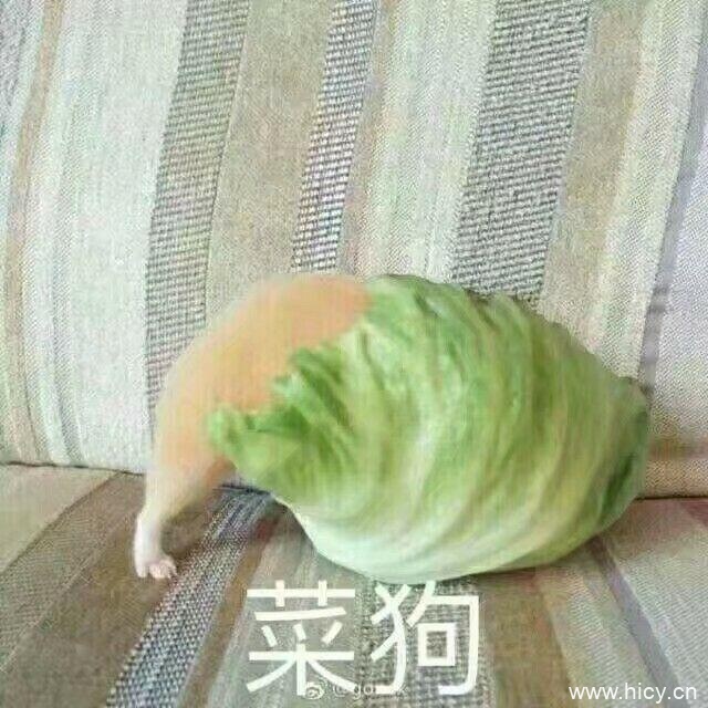 太菜系列表情包