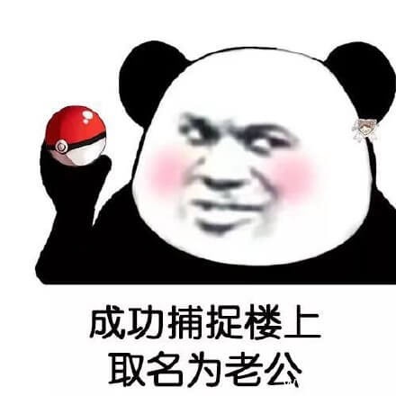 精灵球成功捕捉楼上系列表情包