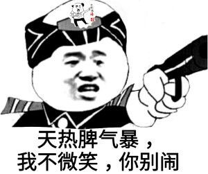 土味语录（快手气息）表情包