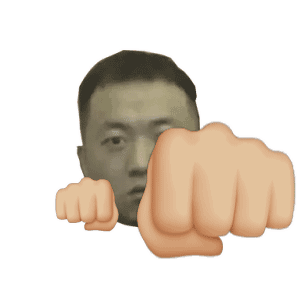 各种打拳动图系列表情包