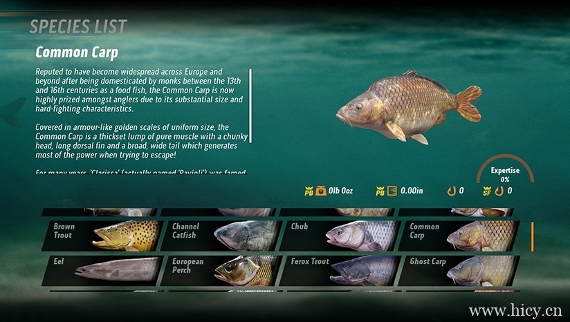 《捕获物:鲤鱼和大鱼》简体中文免安装版