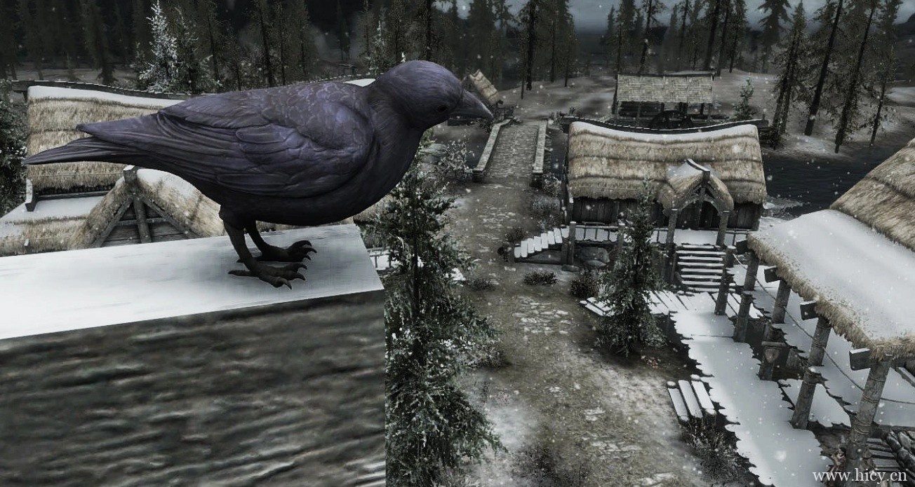 《上古卷轴5:天际重制版》