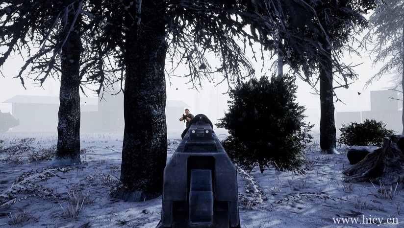 《深入敌后：北极鹰行动》英文免安装版