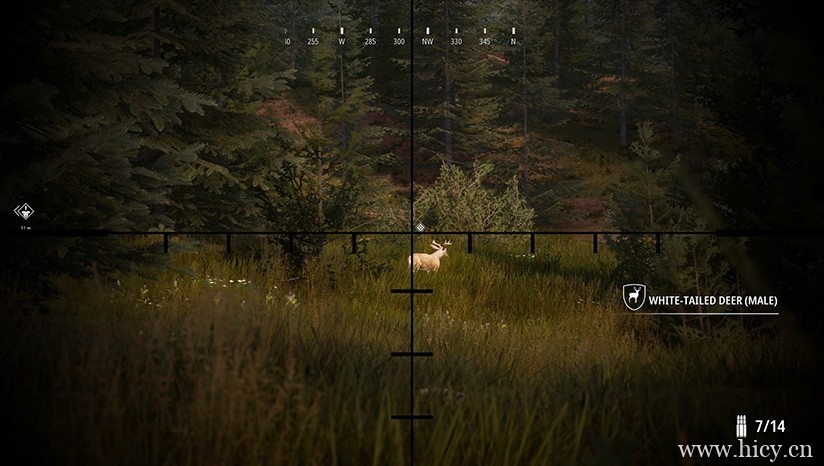 《模拟狩猎2》简体中文免安装版