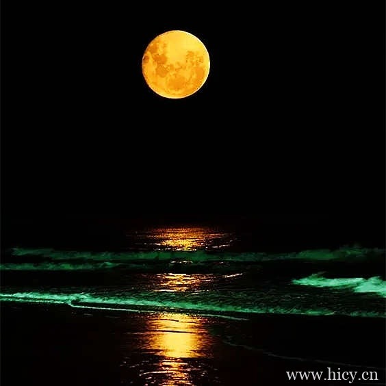 中秋节简短文案,中秋祝福句子插图1 中秋节简短文案,中秋祝福句子