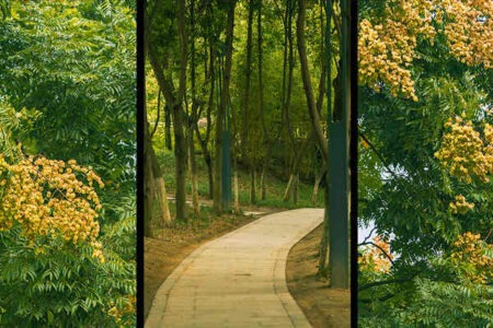 描写景物风景的文案优美的句子