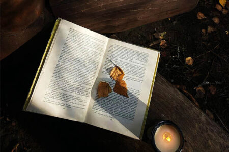 半句就封神的千古名句摘抄插图1 半句就封神的千古名句摘抄