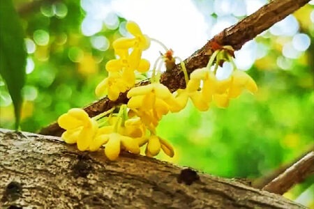 十月封神文案句子，十月秋雨连绵；.十月风染桂香。