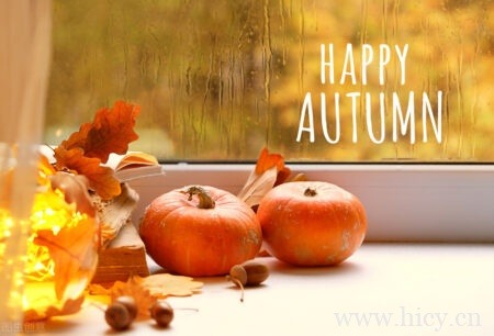 发抖音秋天多愁善感的心情文案句子，一夜知秋，一夜至秋。