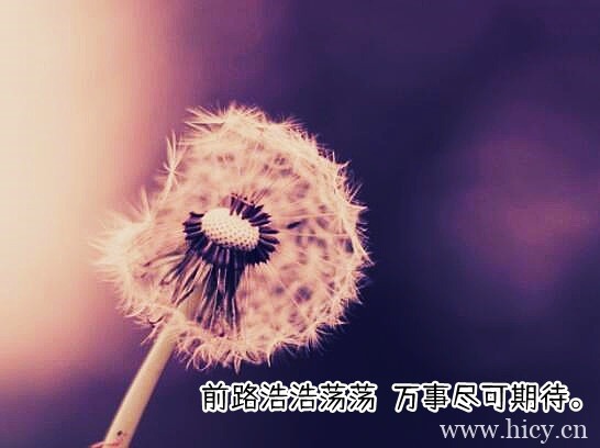 2021再见2022你好心情愉快的文案插图1 2021再见2022你好心情愉快的文案