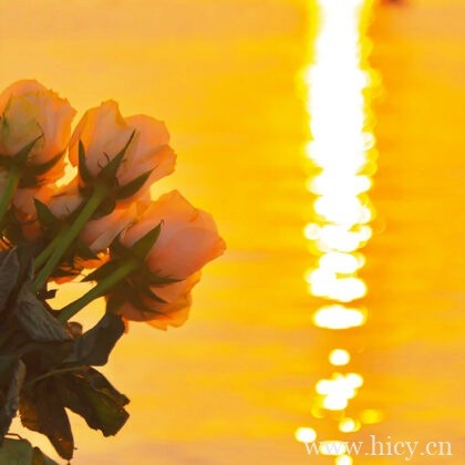 20句写在课本上的励志文案短句子插图1 20句写在课本上的励志文案短句子