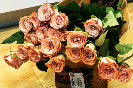 抖音能引起心灵共鸣上热门的文案句子插图1 抖音能引起心灵共鸣上热门的文案句子