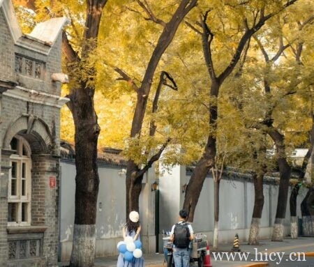 超级治愈的神仙文案句子，你的温柔，带着光。插图1