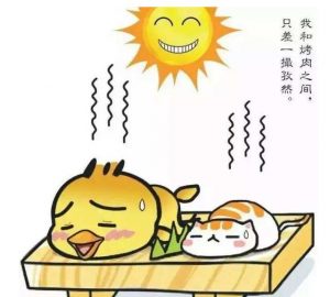 三伏天朋友圈文案 38度朋友圈文案插图1 三伏天朋友圈文案 38度朋友圈文案