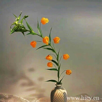 emo文案伤感 | 懂事的人连崩溃都会选好时间插图1 emo文案伤感 | 懂事的人连崩溃都会选好时间