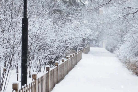 2023年第一场雪发抖音朋友圈的文案句子插图1 2023年第一场雪发抖音朋友圈的文案句子