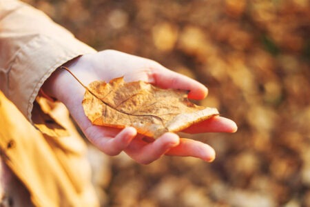 抖音高级人间清醒文案,你的存在即我之所爱。插图1 抖音高级人间清醒文案,你的存在即我之所爱。