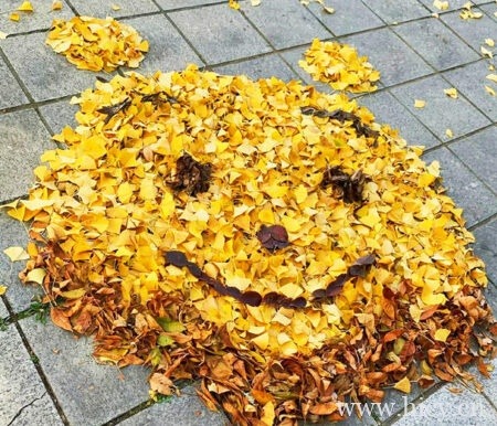 现代搞笑幽默文案句子，句句皆你，字字非我。插图1