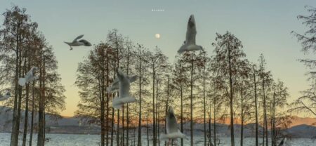 人间清醒文案 | 每个人都会犯错 所以铅笔的另一头是橡皮插图1 人间清醒文案 | 每个人都会犯错 所以铅笔的另一头是橡皮