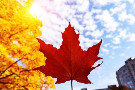 十月周末文案短句,风与枯叶,人间十月,有想念,有相见。插图1 十月周末文案短句,风与枯叶,人间十月,有想念,有相见。
