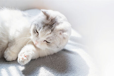 回味很久的高级抖音文案句子