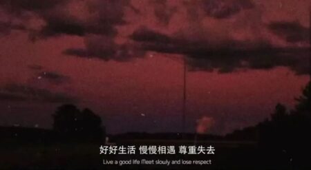 点赞率超级高的抖音文案短句插图1 点赞率超级高的抖音文案短句