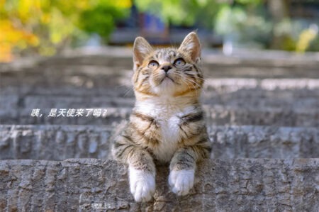 朋友圈秒赞的温柔文案短句插图1 朋友圈秒赞的温柔文案短句