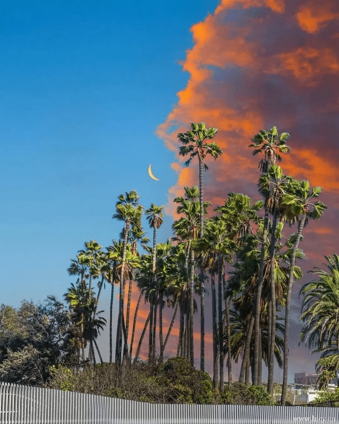 文案 |“朝暮皆为少年之时”