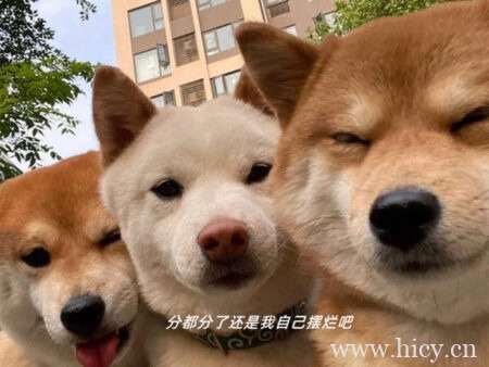 emo文案伤感之分手后感到忧伤难过的文案句子插图1 emo文案伤感之分手后感到忧伤难过的文案句子