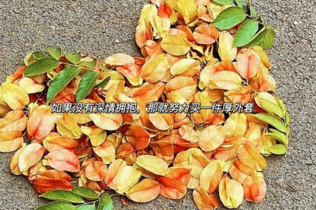 关于保持热爱的文案插图1 关于保持热爱的文案