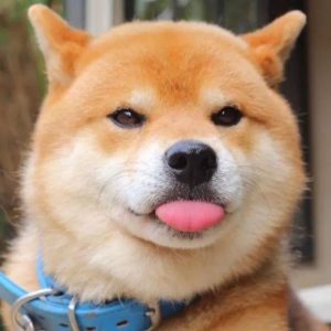 暗恋文案插图1 暗恋文案