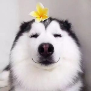 暗恋文案插图2 暗恋文案