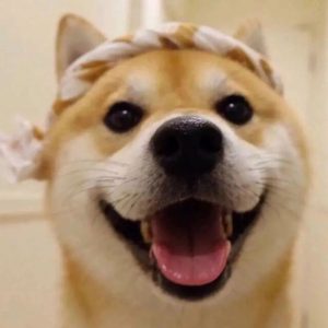 暗恋文案插图3 暗恋文案