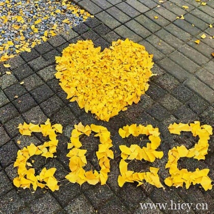 十月里的温柔文案,发抖音的十月唯美句子插图1 十月里的温柔文案,发抖音的十月唯美句子