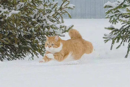 天气转冷的朋友圈文案短句插图1 天气转冷的朋友圈文案短句