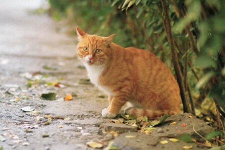 一句话写到心里的温柔句子文案插图1 一句话写到心里的温柔句子文案