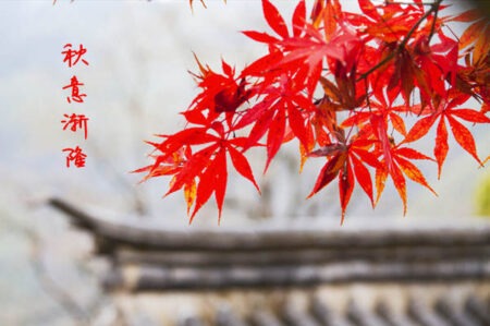 深秋发抖音的文案,优美秋天句子摘抄插图1 深秋发抖音的文案,优美秋天句子摘抄