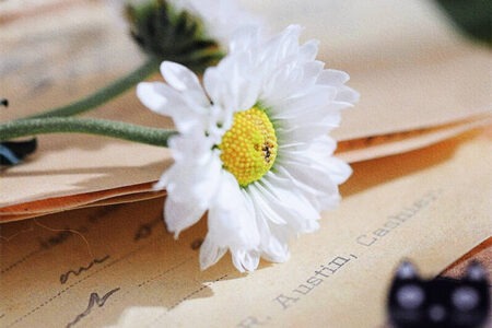 句句不带累，句句都是累的文案句子插图1