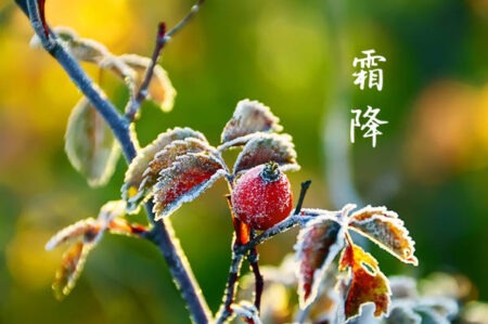 霜降节气高级简短的说说文案句子