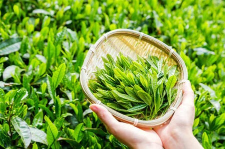 表达上班怨气抱怨的文案插图1 表达上班怨气抱怨的文案