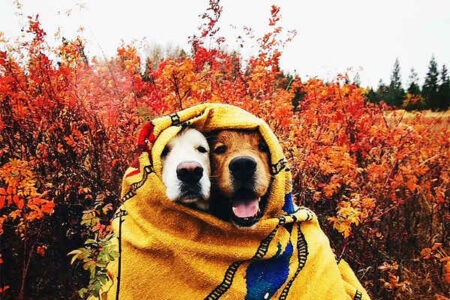 惊艳很久的高级文案短句