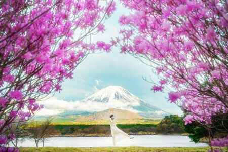 让自己很感动的句子,写给自己的人间清醒文案插图1 让自己很感动的句子,写给自己的人间清醒文案