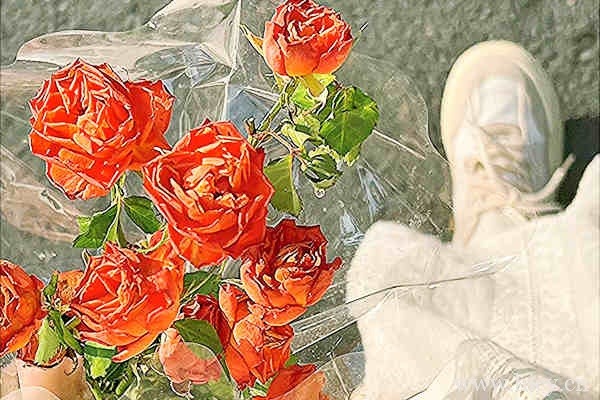 抖音神评论句子,朋友圈骚气的沙雕文案。插图1 抖音神评论句子,朋友圈骚气的沙雕文案。